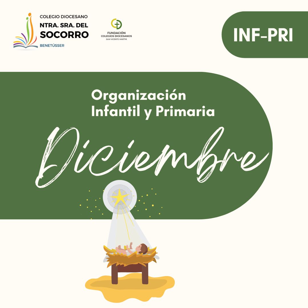 Organización Primaria Diciembre 2025